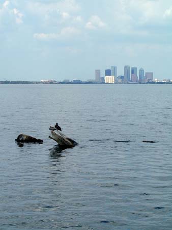 tampa_2004_16
